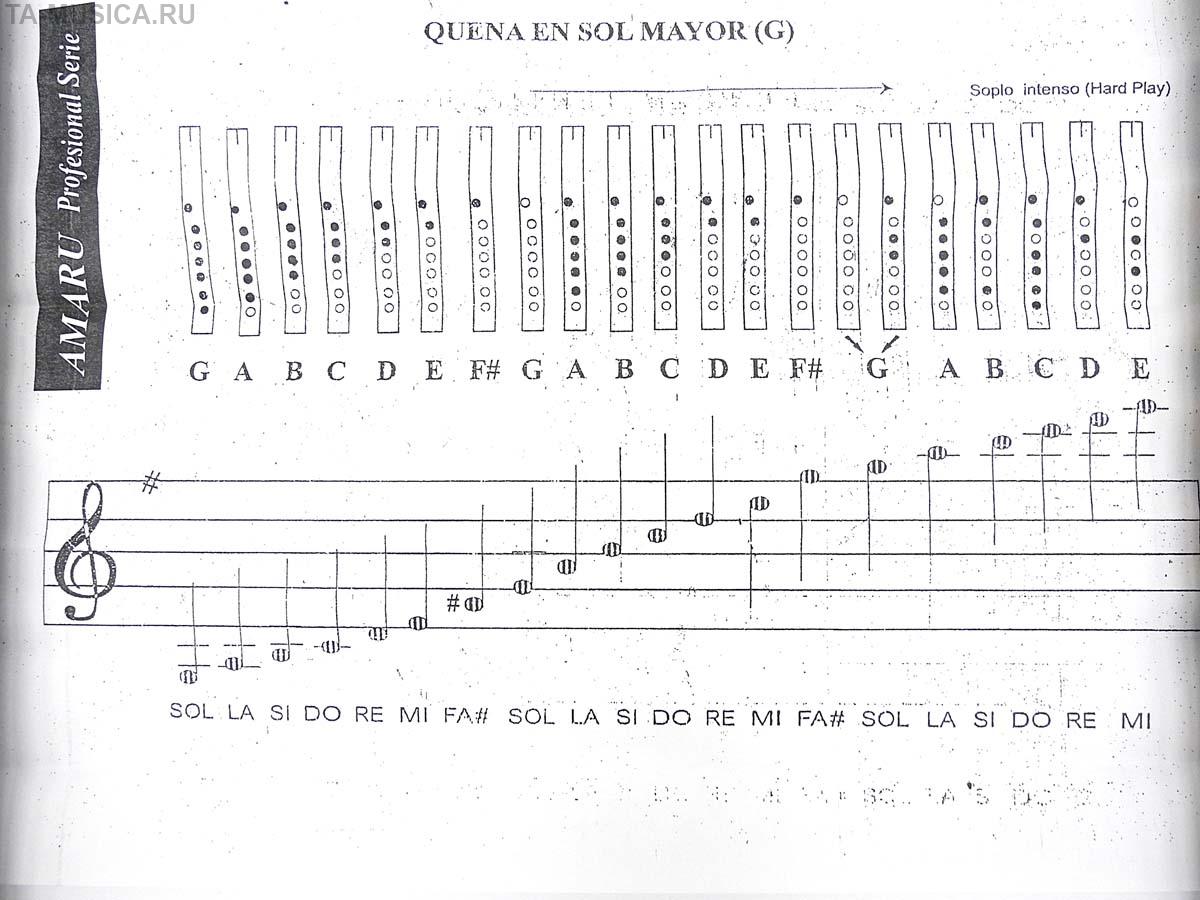 Флейта как играть ноты